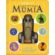 Egyiptomi múmia      23.95 + 1.95 Royal Mail